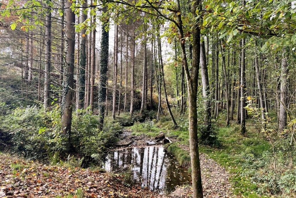 The Forest Retreat- Luxurioese Ferienwohnung Mit Privater Sauna Wermelskirchen Buitenkant foto